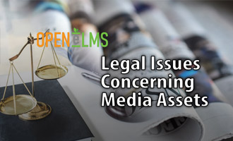 Legal Issues Concerning Media Assets